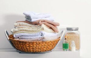What are common household toxins?