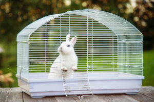 What should I not do when cleaning my pet cage