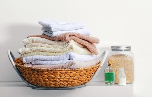 What are common household toxins?