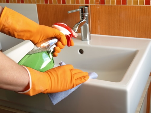 What types of bacteria are found in your house