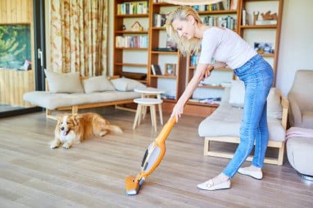 7 Tips for Cleaning a Home With Pets