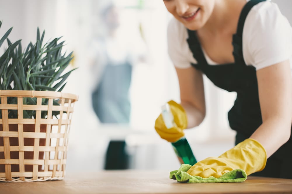 How-do-you-clean-a-house-that-has-been-neglected