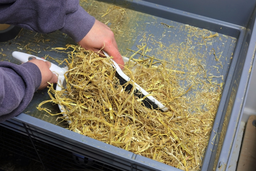 11-Efficient-Pet-Cage-Cleaning-Tools-Supplies