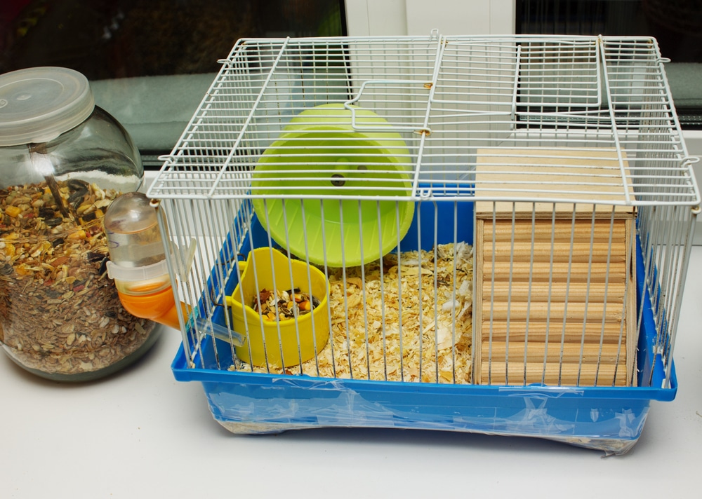 How-do-I-quickly-clean-a-pet-cage