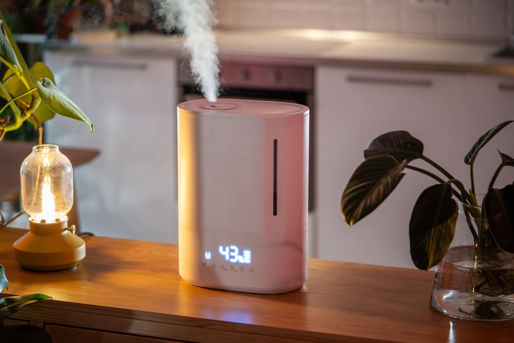 Why is my house so dusty in the wintertime