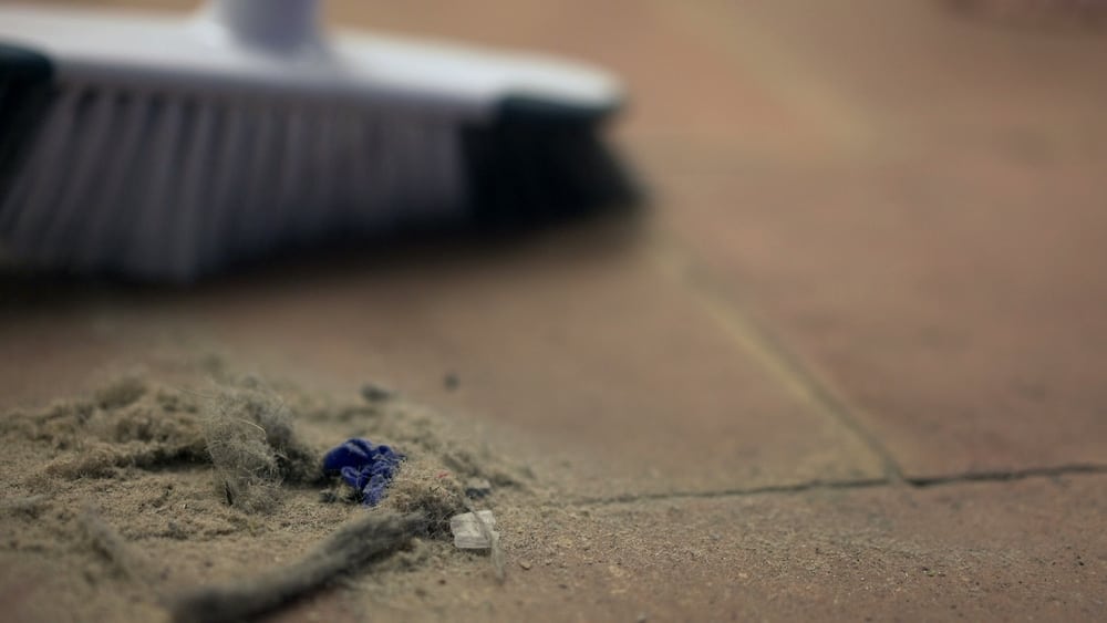 What role does professional cleaning play in that just-cleaned feeling