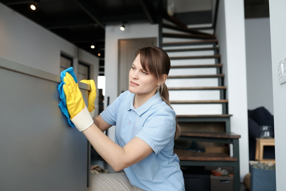 Where can I find meticulous house cleaners in Vallejo, CA