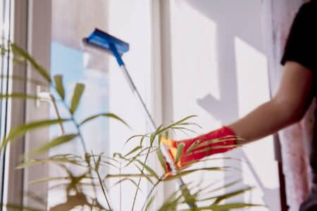 Which cleaning priorities matter most when time is limited